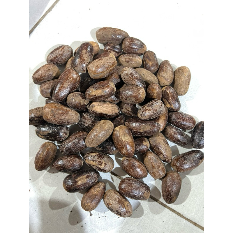 

Biji Pala 100 gram
