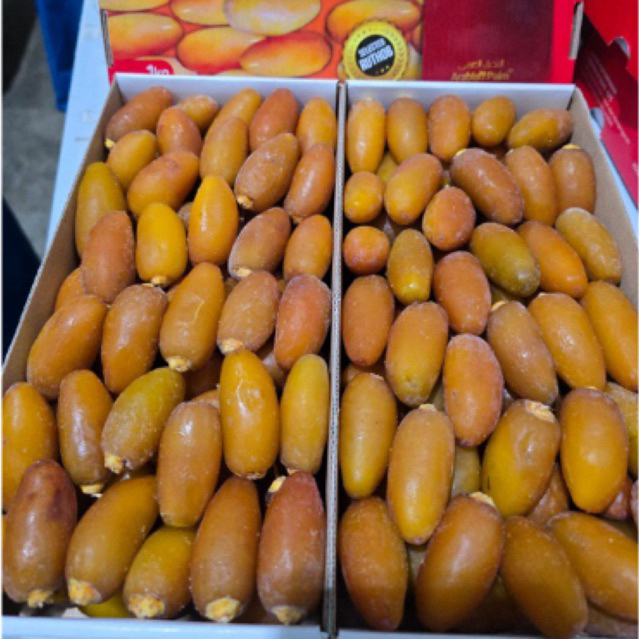 

Ruthob janiyyan kurma basah 1kg