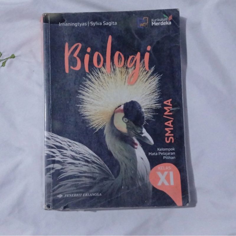 PRELOVED - Buku Erlangga BIOLOGI Kelas 11 SMA