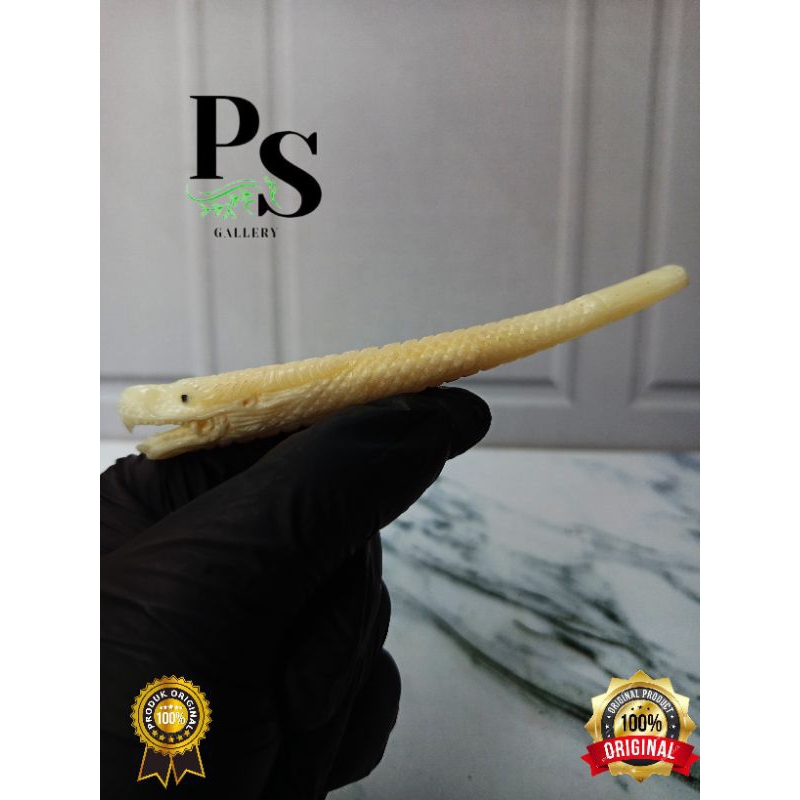 once pipa tulang sapi full ukir naga 3d padudan cangklong