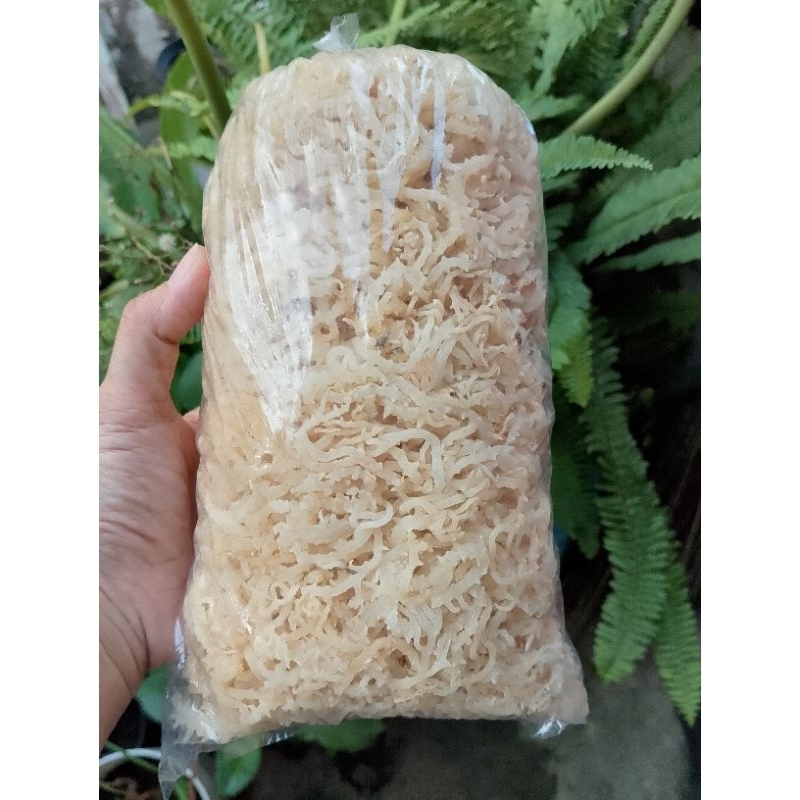 

Rumput Laut Putih 1 Kg