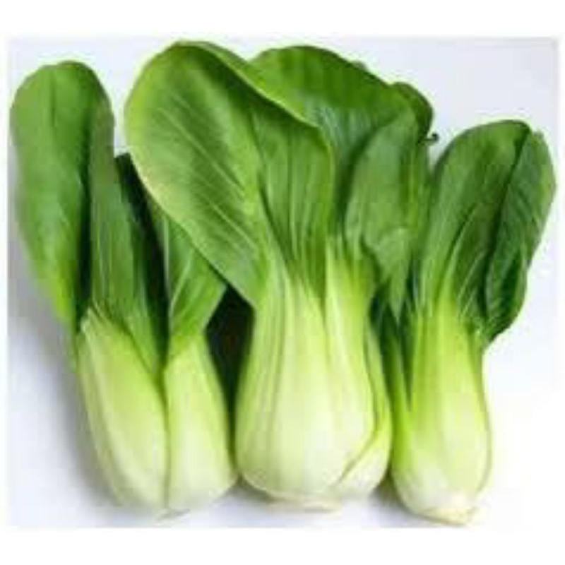 

Sayur Pakcoy fresh 1 ikat