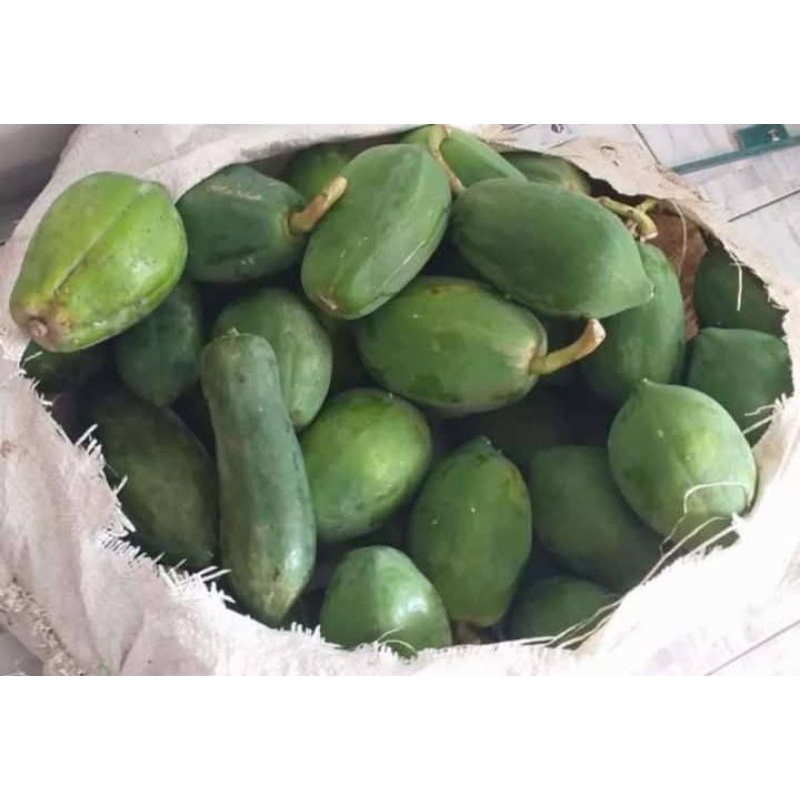 

Gandul pepaya muda bahan olahan masakan tradisional segar spesial 1kg