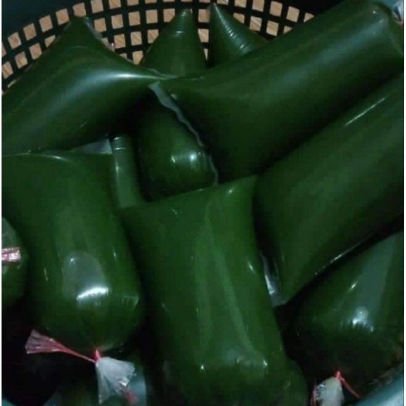 

CINCAU HIJAU ORGANIK KEMASAN PLASTIK 1KG PAKET ISI 10 PCS