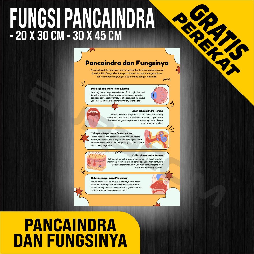 

PAPAN AKRILIK dan STIKER, POSTER PANCAINDRA DAN FUNGSINYA, CUSTOM, FREE DESAIN ( A 483 )