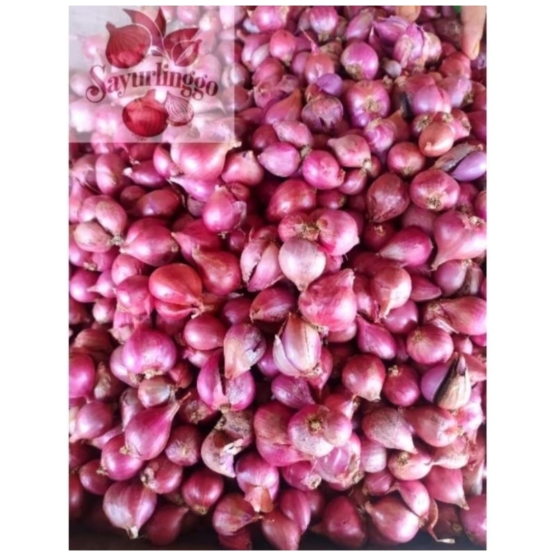 

BAWANG MERAH PROBOLINGGO 500gr TANGGUNG CAMPUR