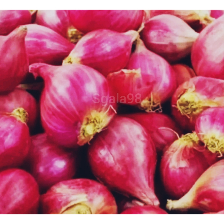 

Bawang merah 1/4 250gram