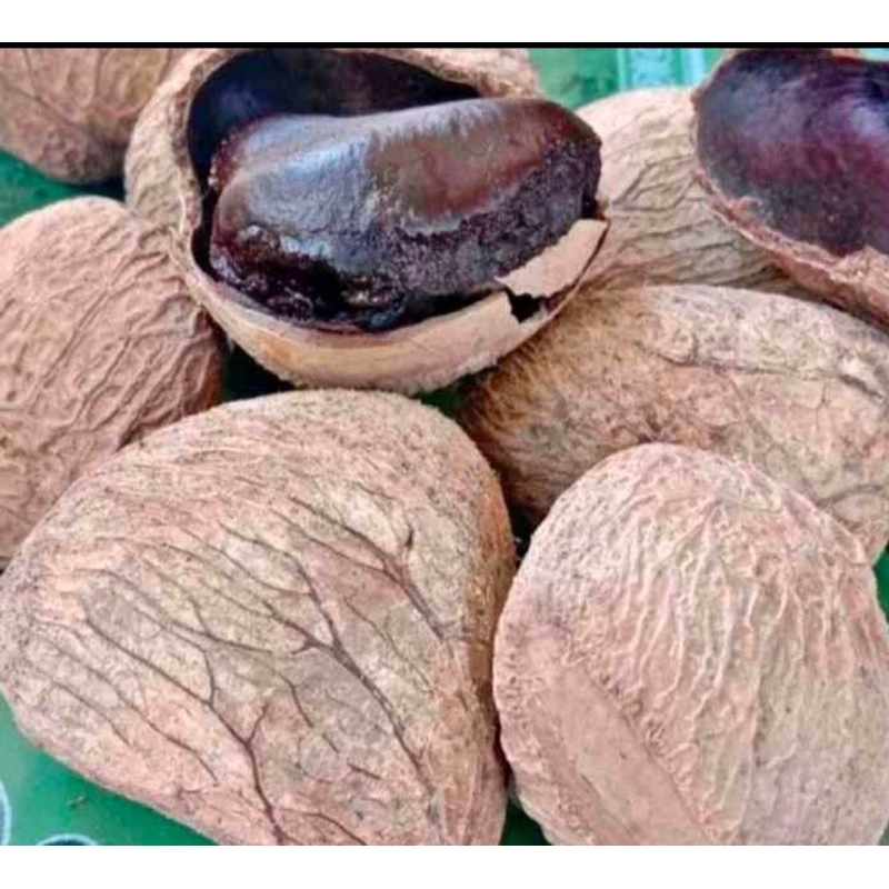 

kluwak pocong 1 kg