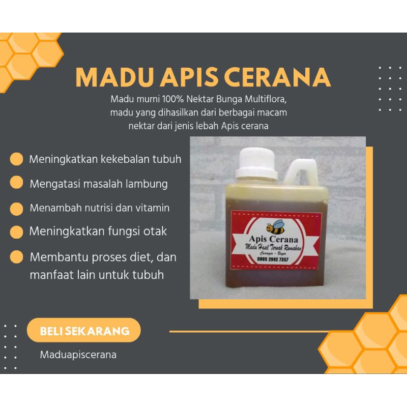 

Madu Apis Cerana 100% ASLI ukuran 500 ml