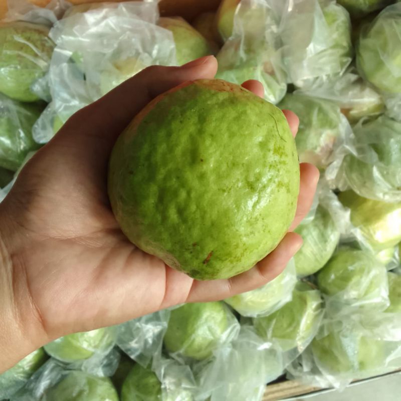 

Jamkis Jambu Kristal 1kg