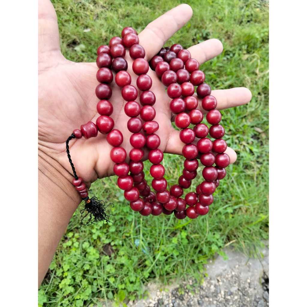 tasbih biji gebang merah gtasbih pocok lontar murah tasbih 99 butir tasbih haji dan umroh