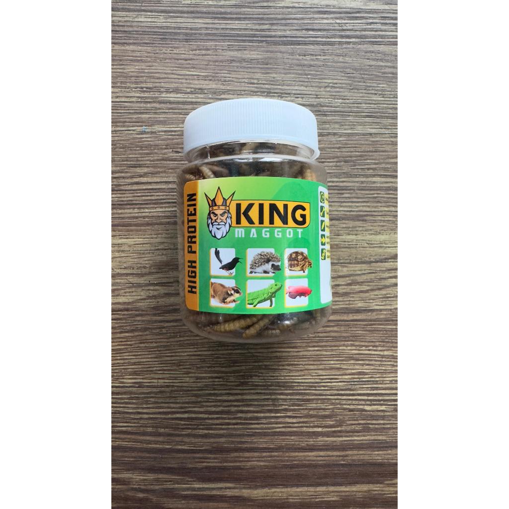 KING MAGGOT / ULAT MAGGOT UNTUK BURUNG, LANDAK MINI, KURA-KURA, SUGAR GLIDER, IGUANA, KADAL, ARWANA
