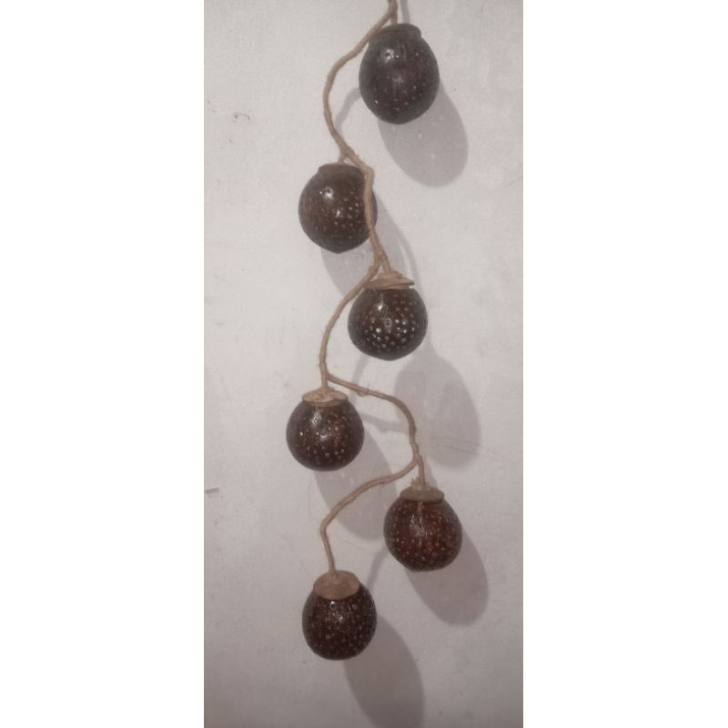 lampu hias batok kelapa