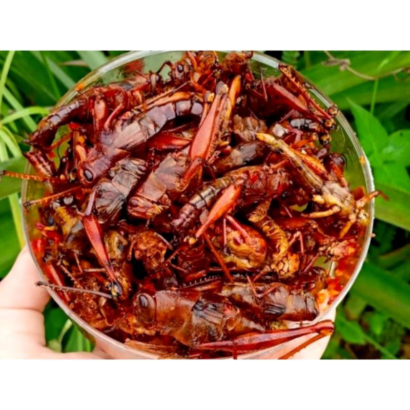 

BELALANG KAYU GORENG/BELALANG BESAR CRISPY TOPLES BERAT 100-+