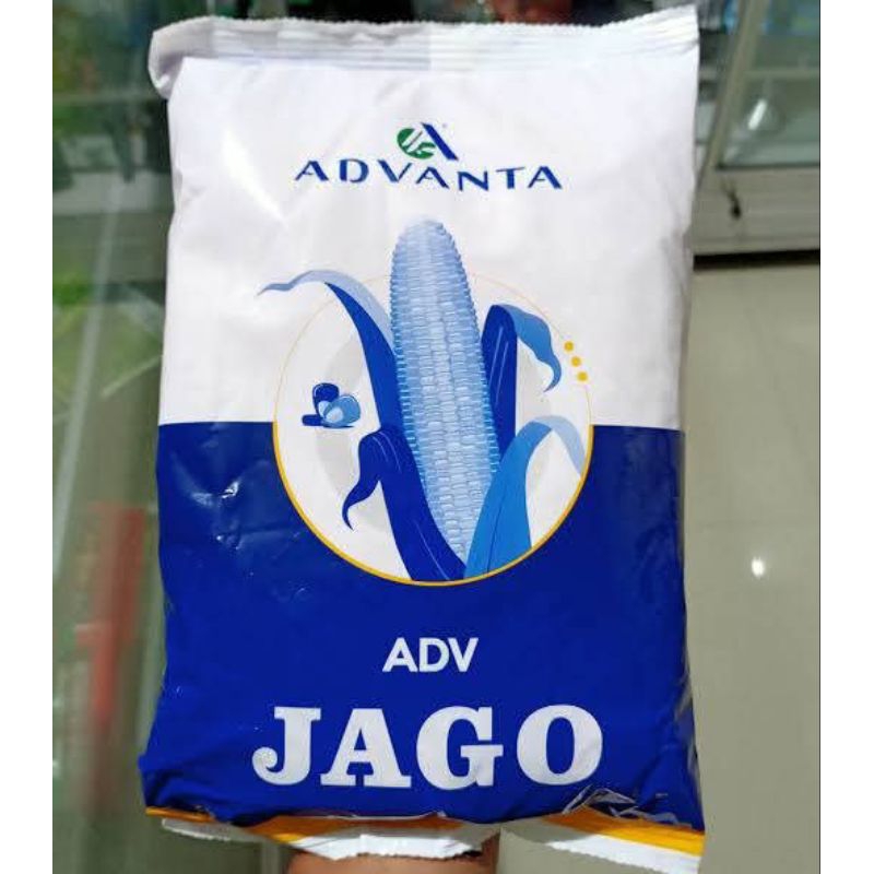 BENIH JAGUNG ADVANTA JAGO ADV JAGO