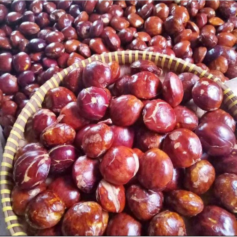 

JENGKOL TUA MUDA BIJI KELERENG BERAT 1 KG