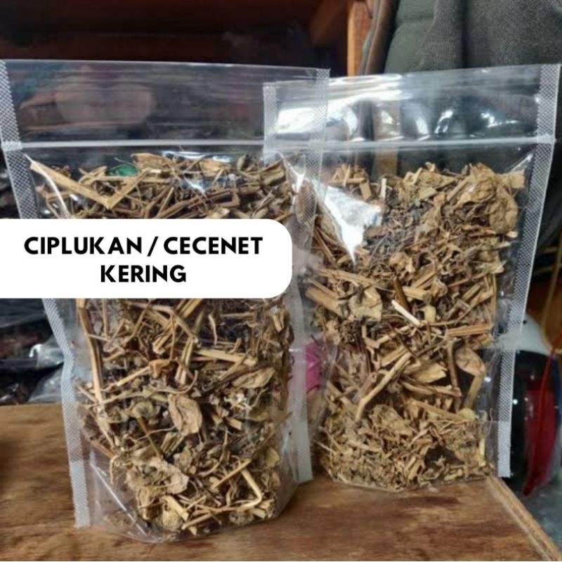 

Ciplukan/Cecenet Kering Murni Alami Herbal 500g