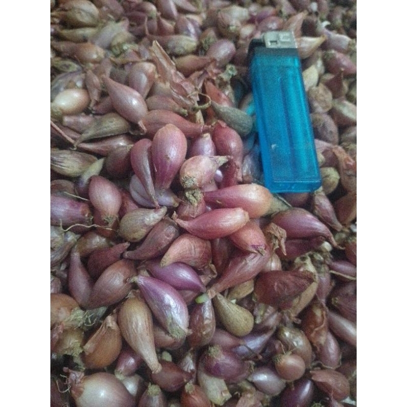 

bawang merah ares ukuran campur kasar sedang-kecil 1kg