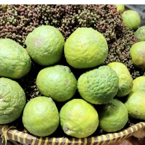 

Jeruk Jungga Ute Jungga Asam Jungga Asam Sunday Naniurai Perbiji