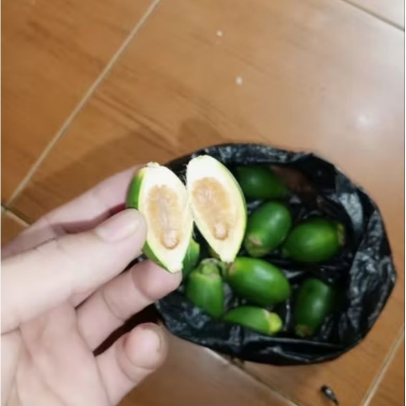 

HERBAL BUAH PINAG MUDA SEGAR PRES/1KILO