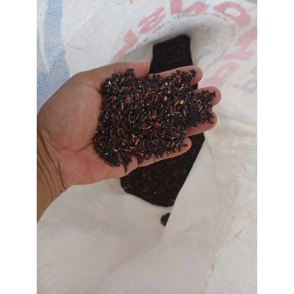 

Beras Ketan Hitam 1kg untuk Anda