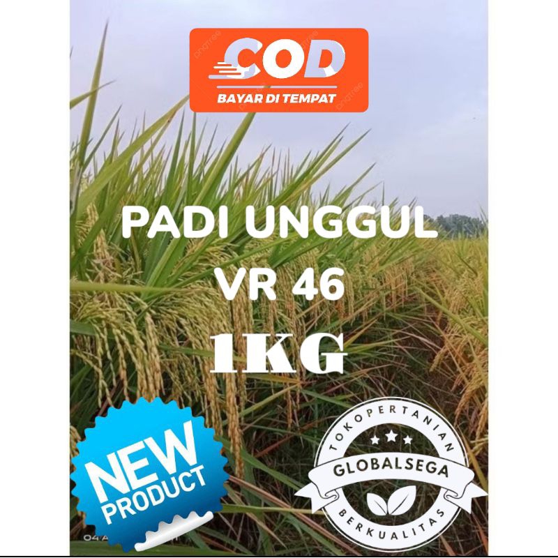 

PADI UNGGUL VR 46 PREMIUM KEMASAN 1KG