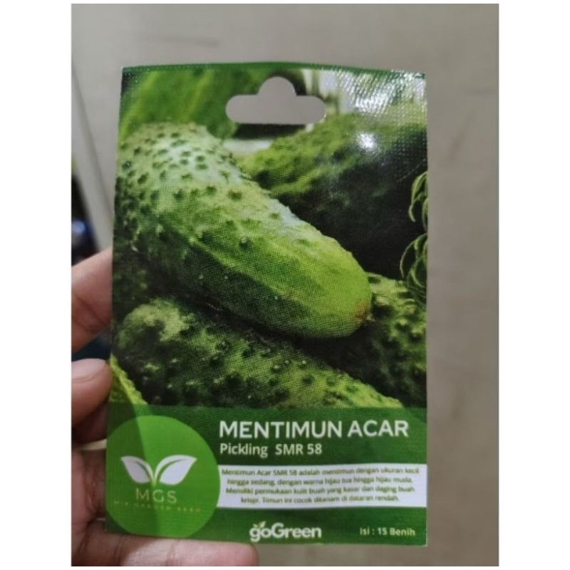 Benih timun acar Pickling SMR 58 15butir benih ketimun acar benih mentimun acar dari MGS
