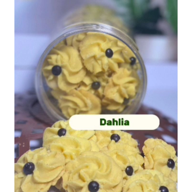 

Dahlia