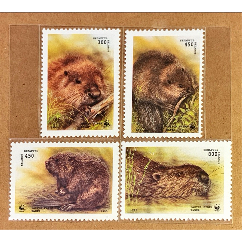 

(BA) PRANGKO BELARUS WWF 1995 EUROPEAN BEAVER 4V COMPLIT SET. MNH.
