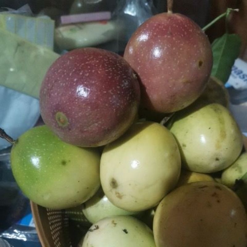 

Markisa kuning, markisa merah/ungu