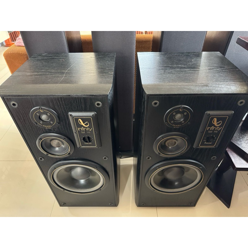 Speaker infinity SM115