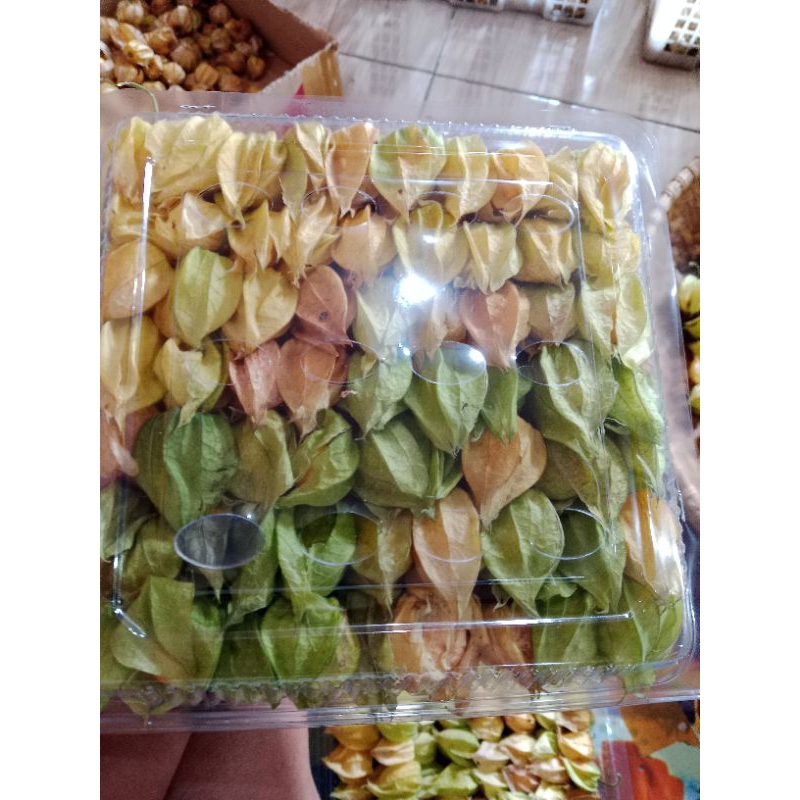 

Buah Ciplukan Segar 500 Gram - Cecendet - goldenberry