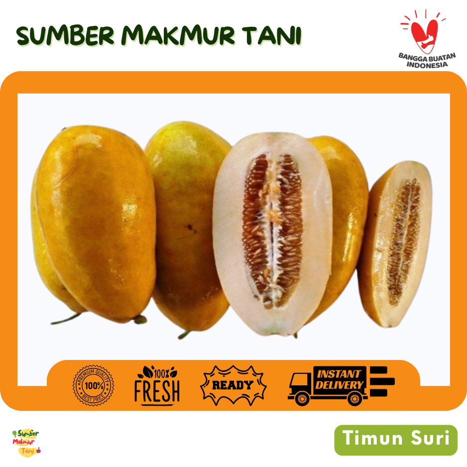 

Timun Suri 1 Buah / Timun Suri Segar Manis & Harum / Buah Timun Suri untuk Es Buah & Takjil / Fresh Golden Melon / Sweet Cucumber Melon – Sumber Makmur Tani