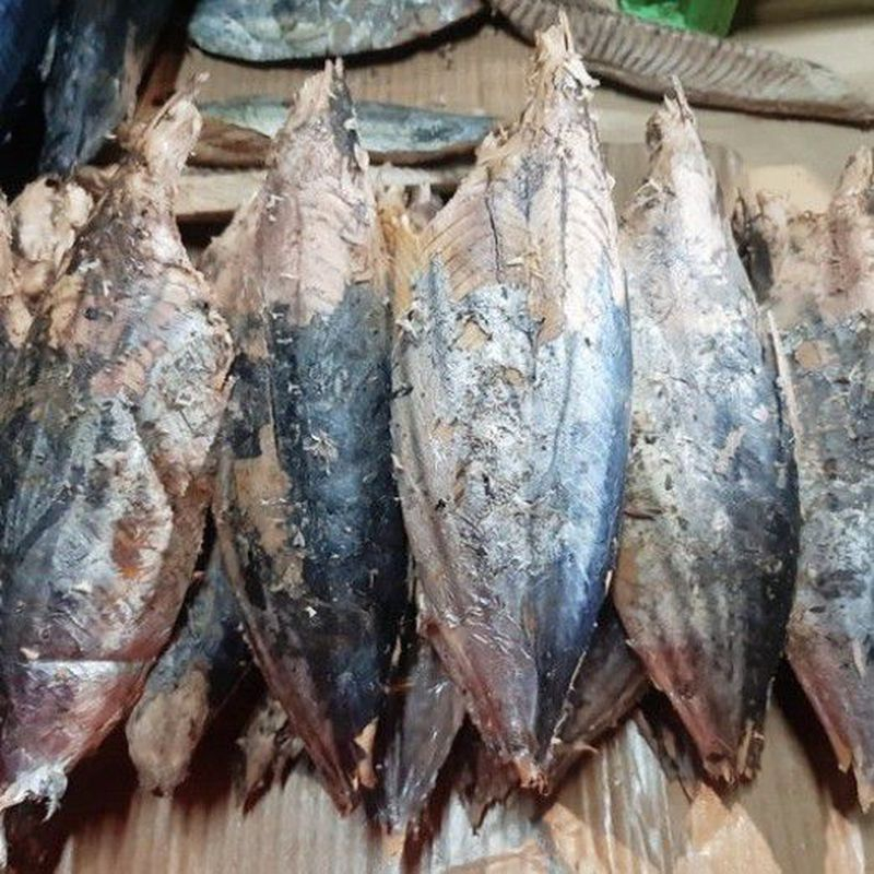 

Grosir Ikan Tongkol Asap Utuh 1kg Bersih Murah