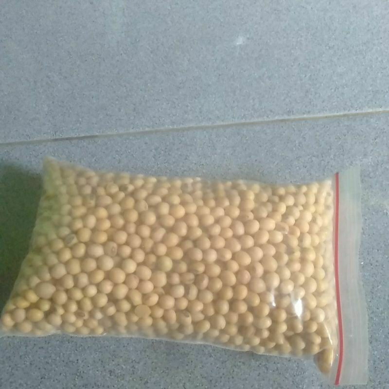 

Kacang kedelai