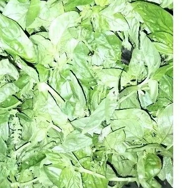 

basil fresh 500 gram