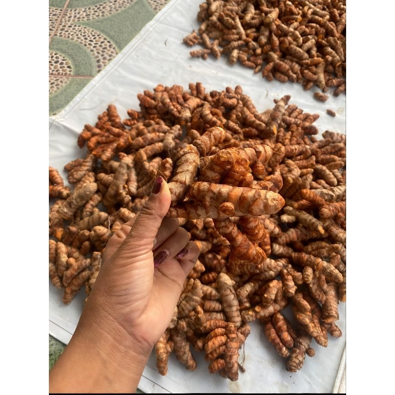 

KUNYIT KUNIR ABRAS HERBAL ALAMI 250gram