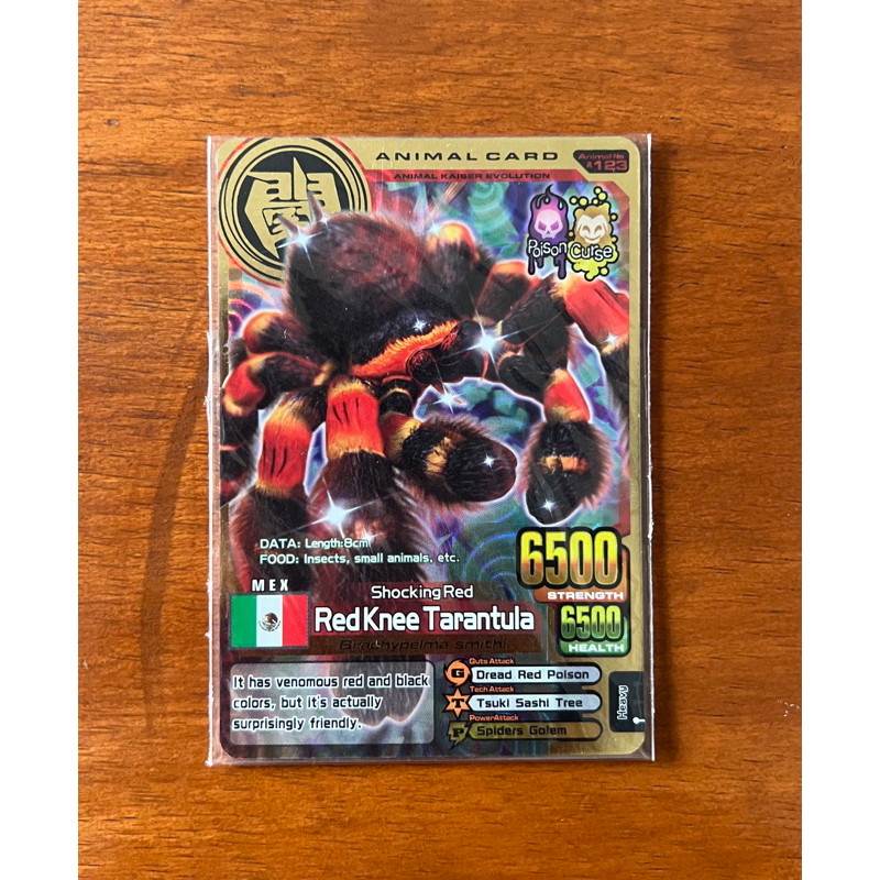 Kartu Gold Rare Red Knee Tarantula Animal Kaiser Evolution 3
