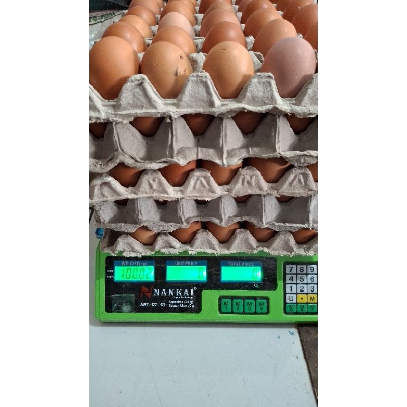 

telur ayam negeri 10kg