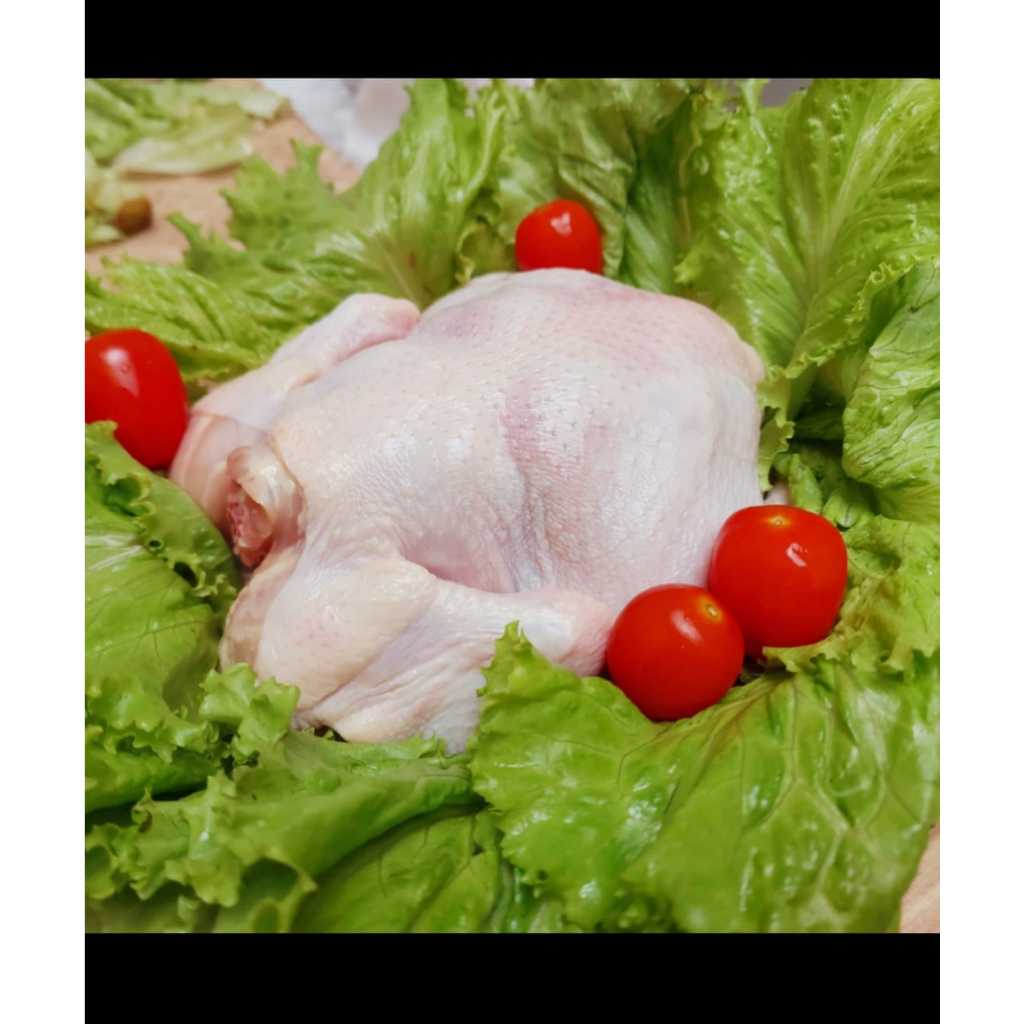 

Ayam Karkas | Ayam Segar | Ayam Broiler | Siap Olah (400 - 1200 gr)