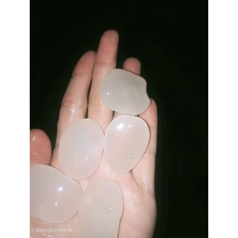 

Kolang Kaling super segar 1kg/kolang Kaling Mentah biji besar