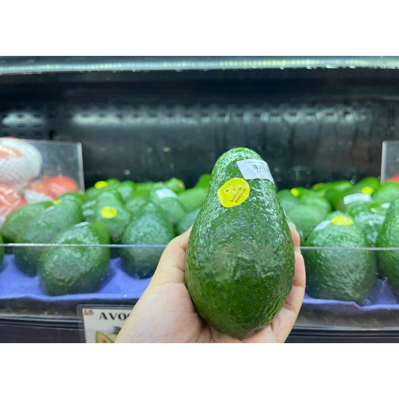

Alpukat import | Alpukat australia fresh 2 pcs