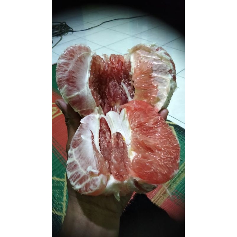 

JERUK PAMELO MADU MANIS BERAT 2.5. KG ISI 2 BUAH UKURAN 1 KG - 1,4 KG