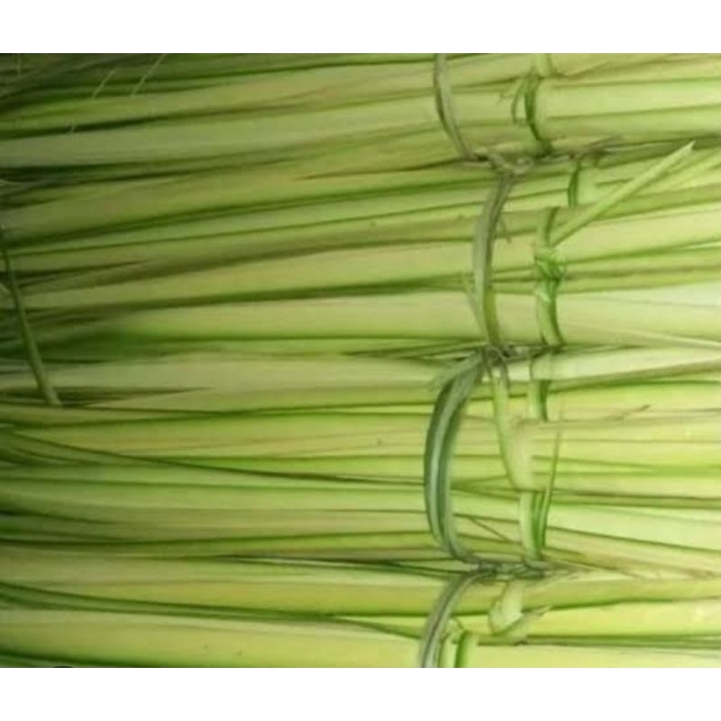 

janur kelapa edisi lebaran