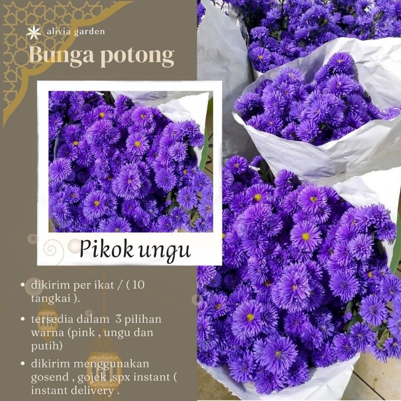 bunga potong pikok ungu ( instant delivery )