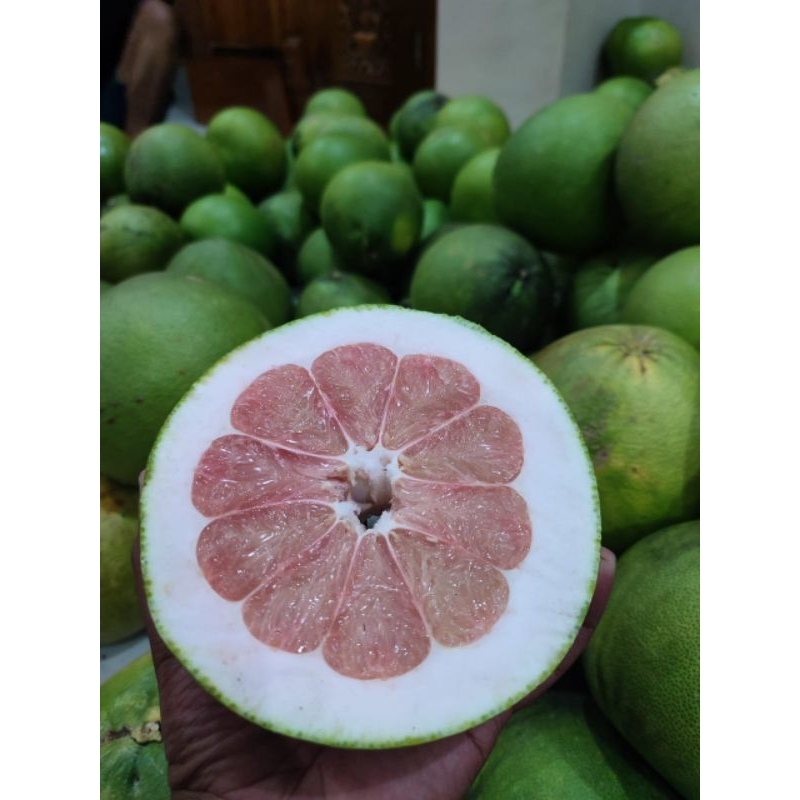 

jeruk pamelo madu berat 1,1kg-1,2kg
