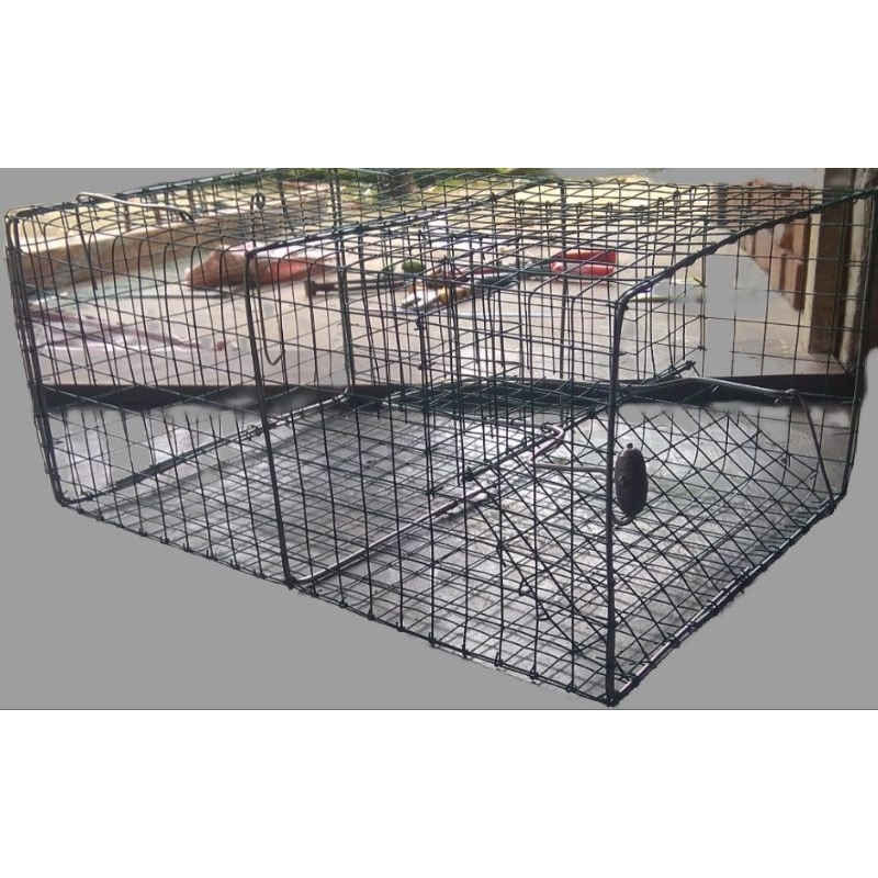 perangkap tikus masal paling ampuh /jebakan tikus masal jumbo