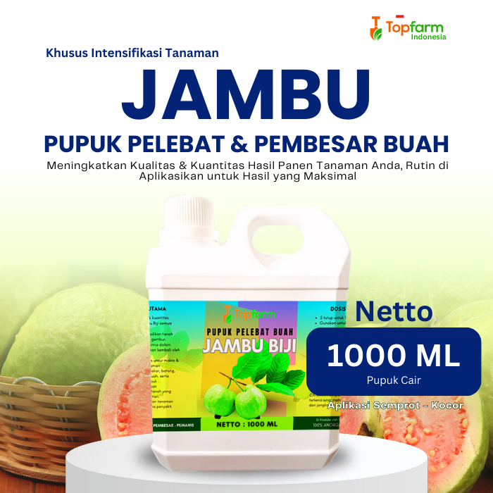 Pupuk Pelebat Jambu Biji / Pupuk Buah Jambu Terbaik / Pupuk Jambu Cepat Berbuah/ Pupuk Jambu Kristal