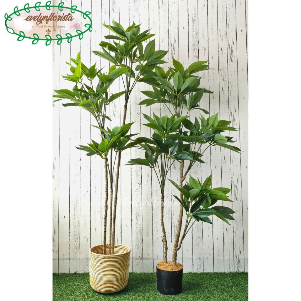 Pohon Artificial Pohon Hias Daun Manggis Variasi Tinggi 150 & 170 Cover Rotan Ulir Dekorasi Kantor