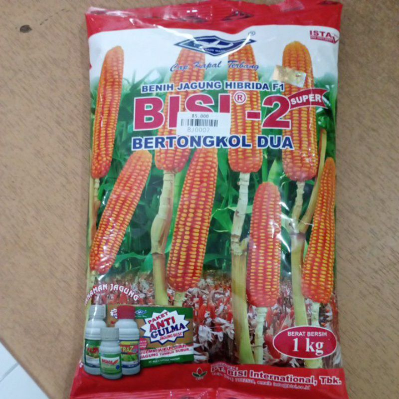 

Jagung Bisi-2